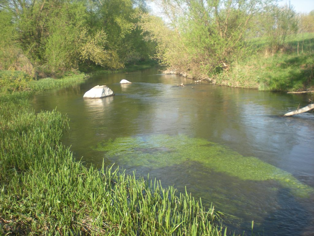 Река ведуга воронежской области семилукского района фото